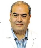 الدكتور سید ضیاءالدین مظهری